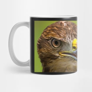 Common Buzzard Mug